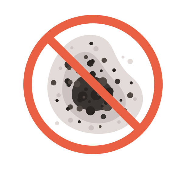 Best Mold Remediation for Healthcare Facilities  in Santa Rosa Valley, CA
