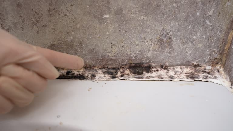 Best Airborne Mold Testing  in Santa Rosa Valley, CA